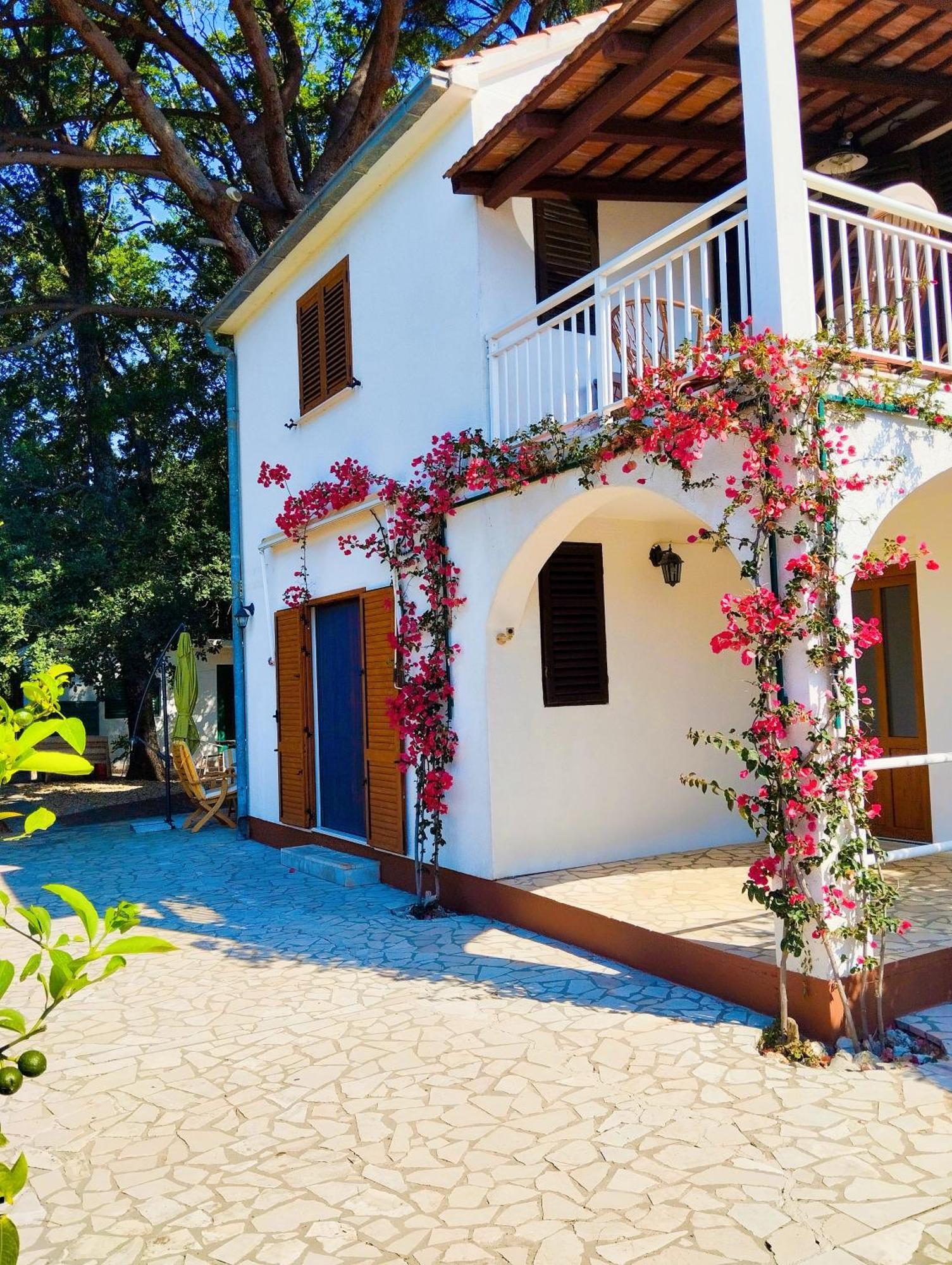 Holiday House Pinus Pinea Viganj Exterior photo
